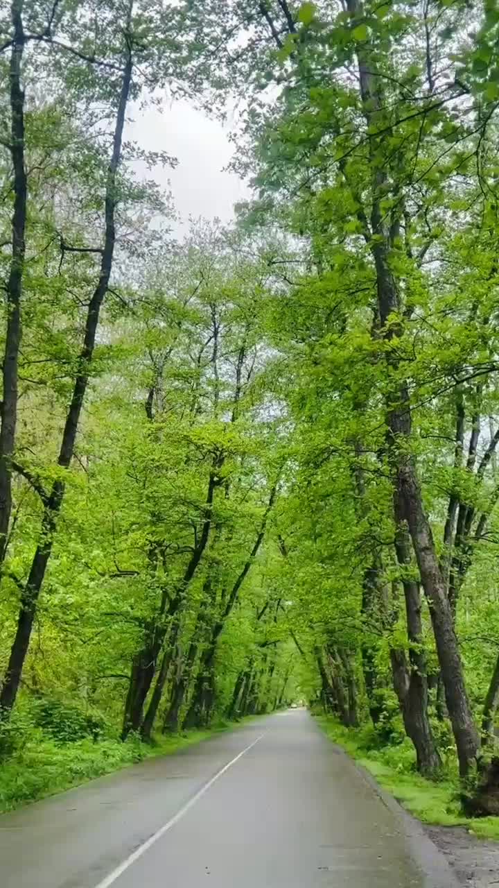 کلبه چوبی اجاره ، روستای جنگلی/ کد هزار|اجارهٔ کوتاه‌مدت آپارتمان و سوئیت|آستانه اشرفیه, |دیوار