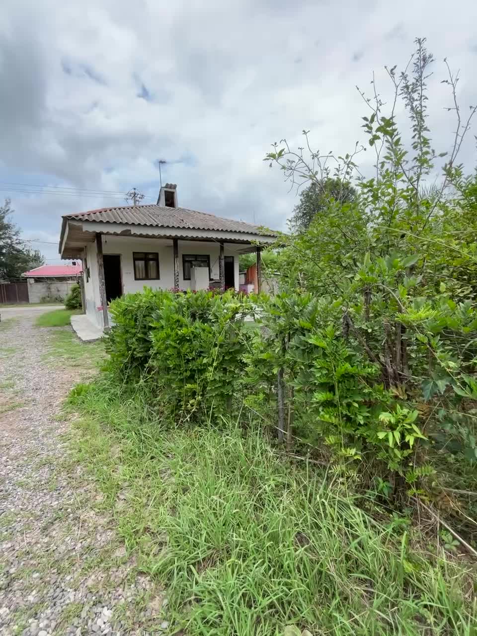 ۳۶۰ مترخانه محوطه/۱۹۰۰مترشالیزار/با انشعابات|فروش زمین و ملک کلنگی|فومن, |دیوار