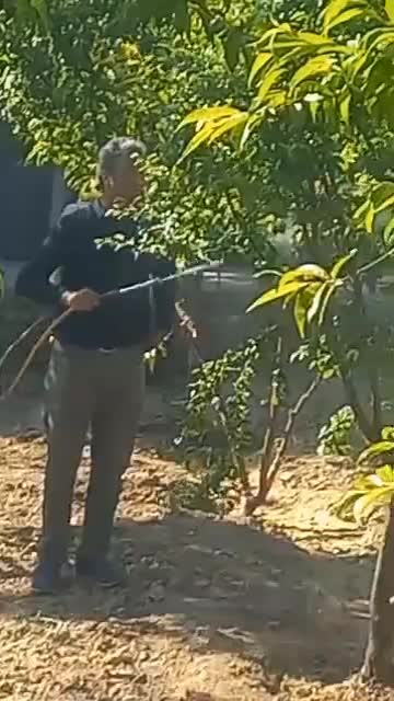 باغبانی وسمپاشی کل تهران و حومه با ضمانت و فاکتور|خدمات باغبانی و درختکاری|تهران, مهران (سیدخندان)|دیوار