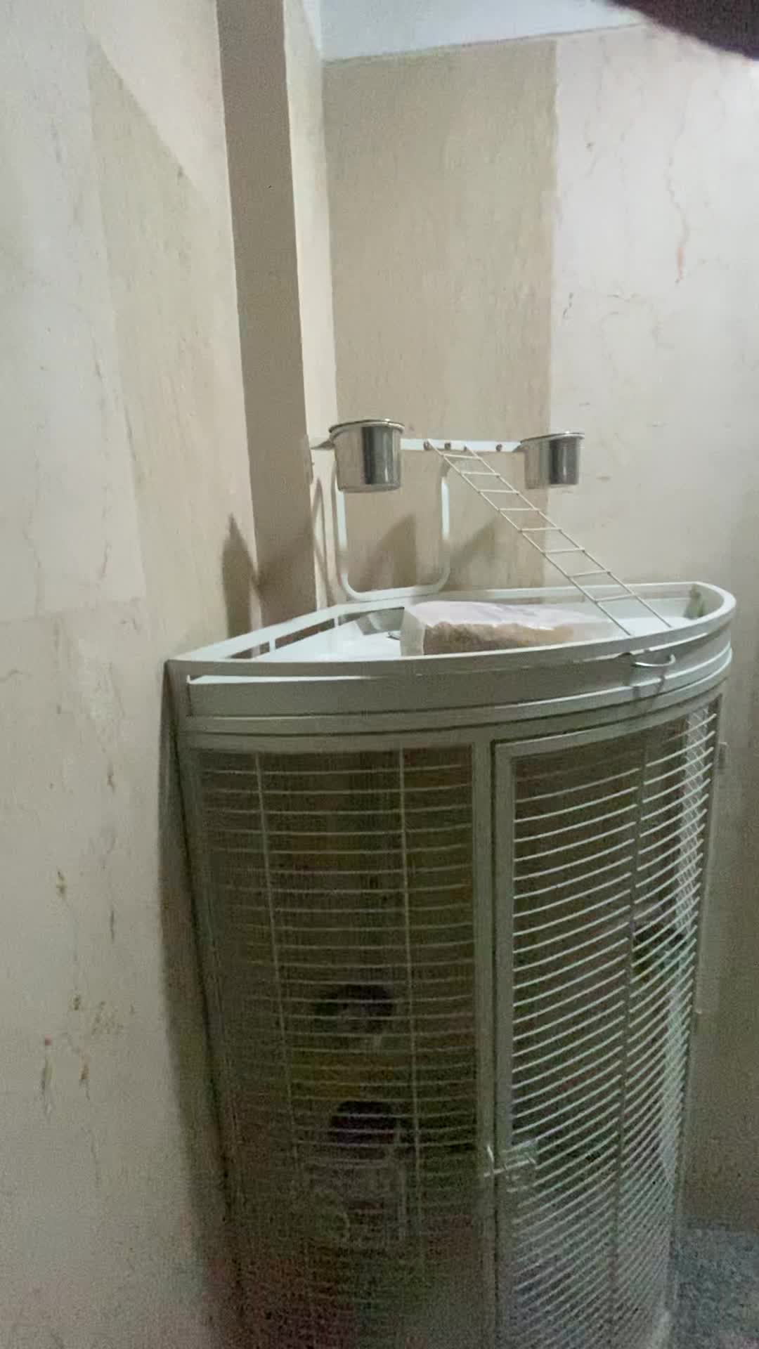 قفس کاسکو|لوازم جانبی حیوانات|تهران, شمسآباد|دیوار