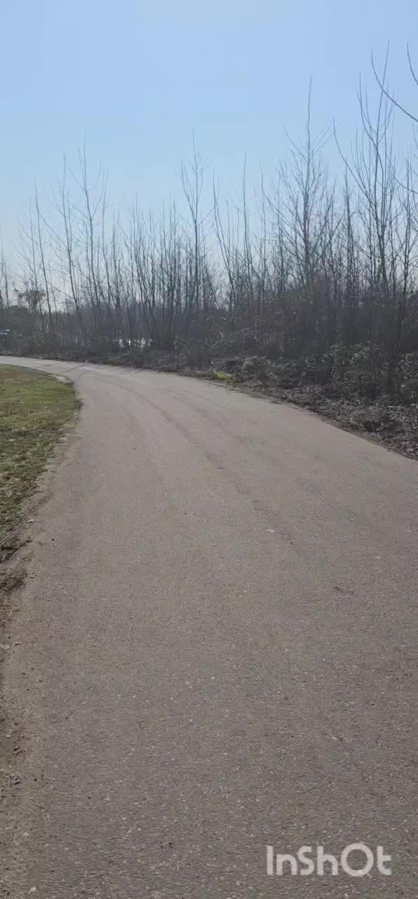 ویلاباغ438متری،سندتکبرگ، ویوابدی رودخانه، اسپرلوس|فروش خانه و ویلا|رشت, گلسار|دیوار