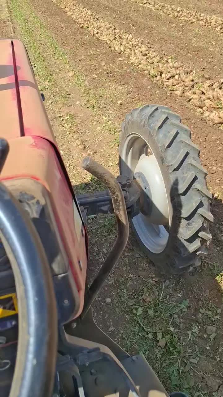 چغندر کن و میل کن|خدمات باغبانی و درختکاری|بیستون, |دیوار