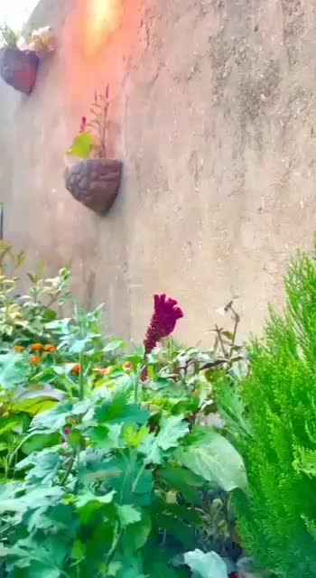 کاهگل صنعتی ( اندود )|مصالح و تجهیزات ساختمان|یاسوج, |دیوار