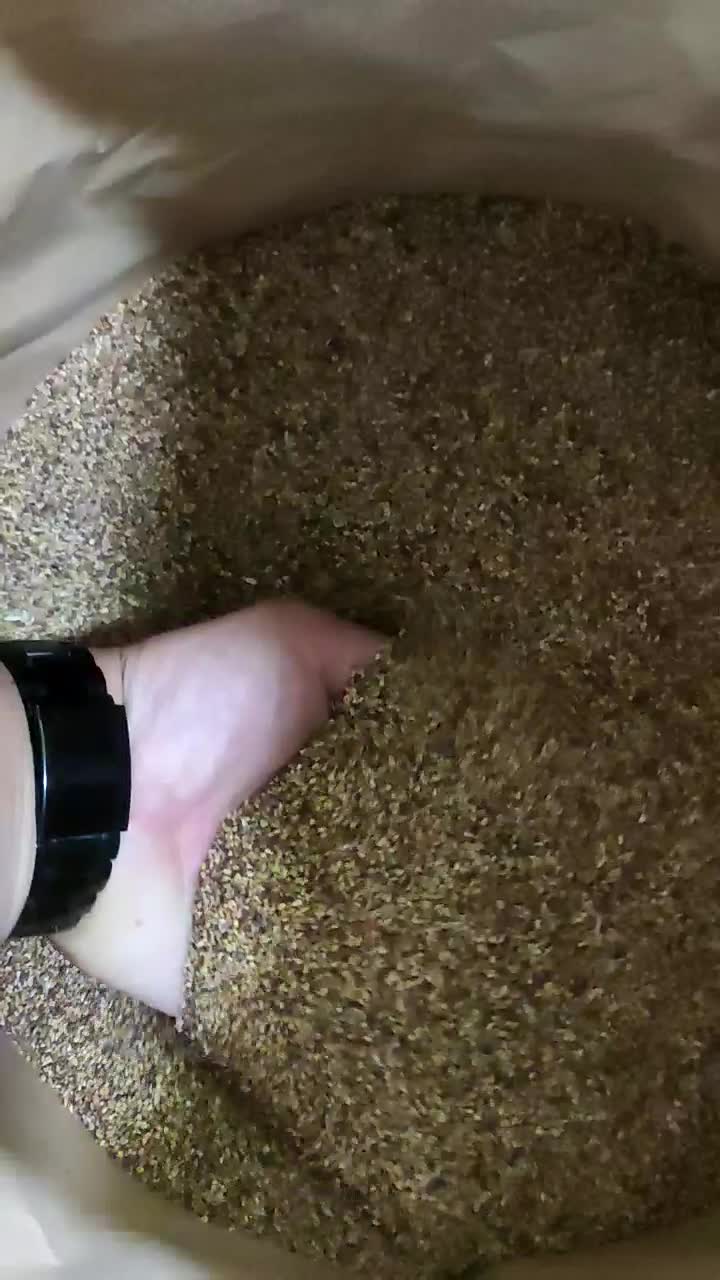 بذر شبدر برسیم|خدمات باغبانی و درختکاری|گرگان, |دیوار