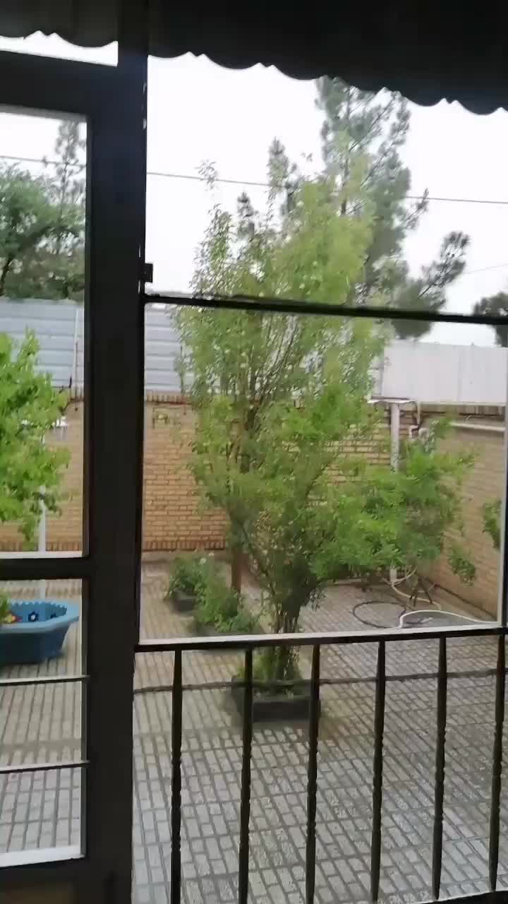 منزل ویلایی ،شهرک ولیعصر،فرهنگیان|فروش خانه و ویلا|تربت‌حیدریه, شهرک ولیعصر|دیوار