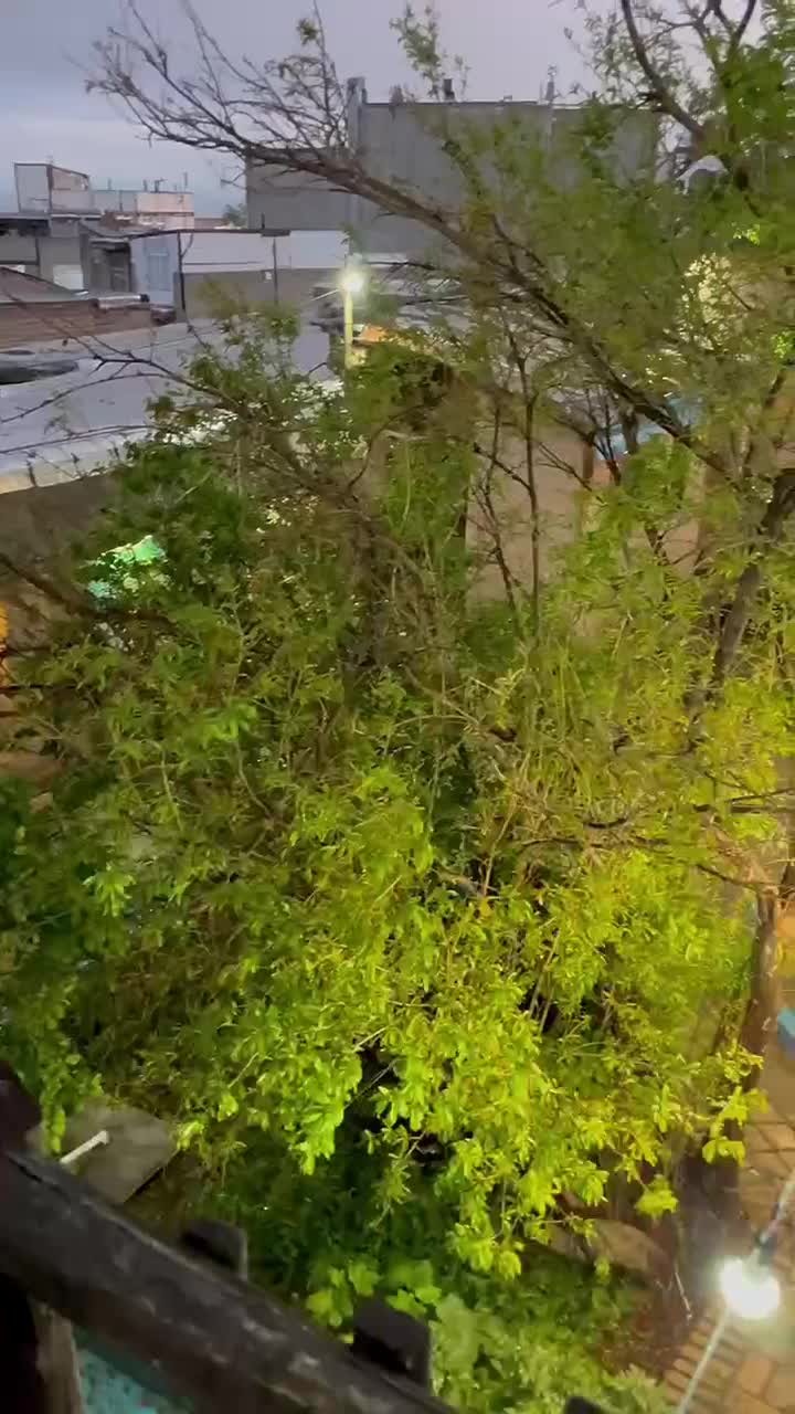 اقامتگاه بومگردی پنجره آبی (سوئیت)|اجارهٔ کوتاه‌مدت آپارتمان و سوئیت|زبرخان, |دیوار