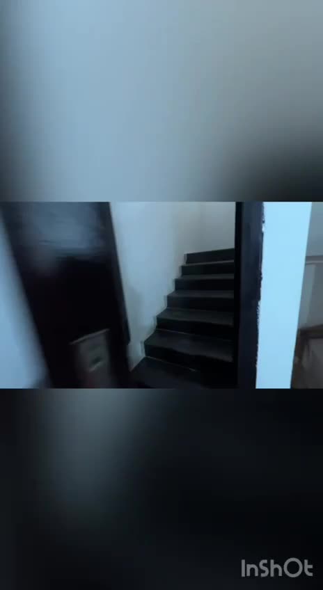 رهن و اجاره واحد ۲۹۰ متر با روف|اجارهٔ آپارتمان|آمل, |دیوار