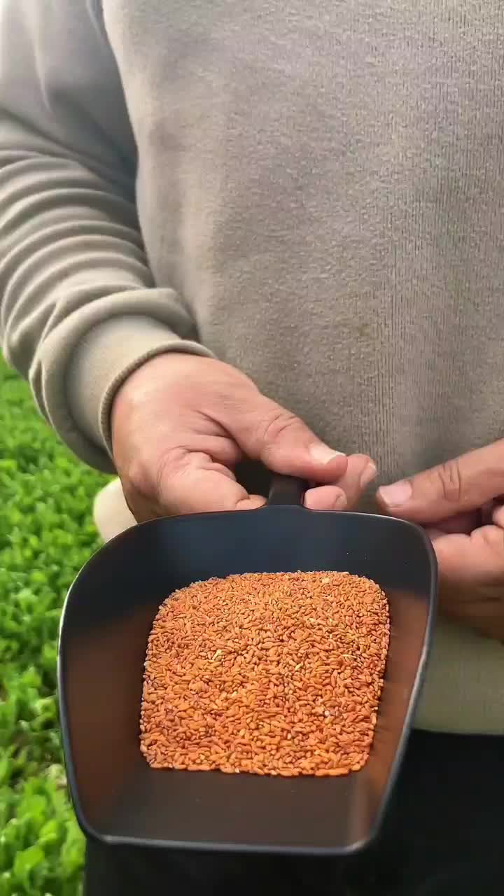 تولید محتوا|خدمات رایانهای و موبایل|آکند, |دیوار