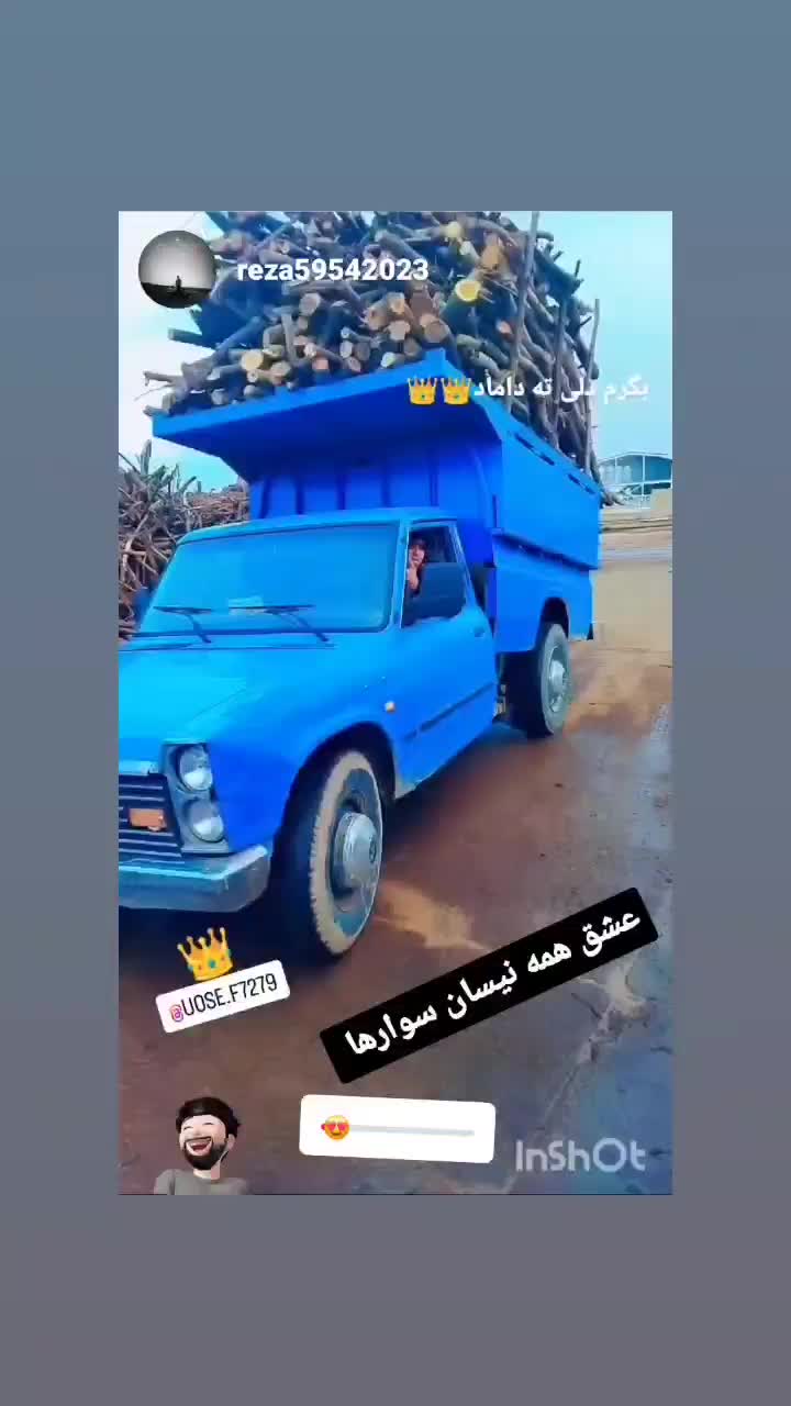 خرید چوب باغات|خدمات باغبانی و درختکاری|چناران, |دیوار