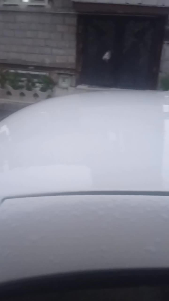 ماشین سمند|خودرو سواری و وانت|مشگین شهر, |دیوار