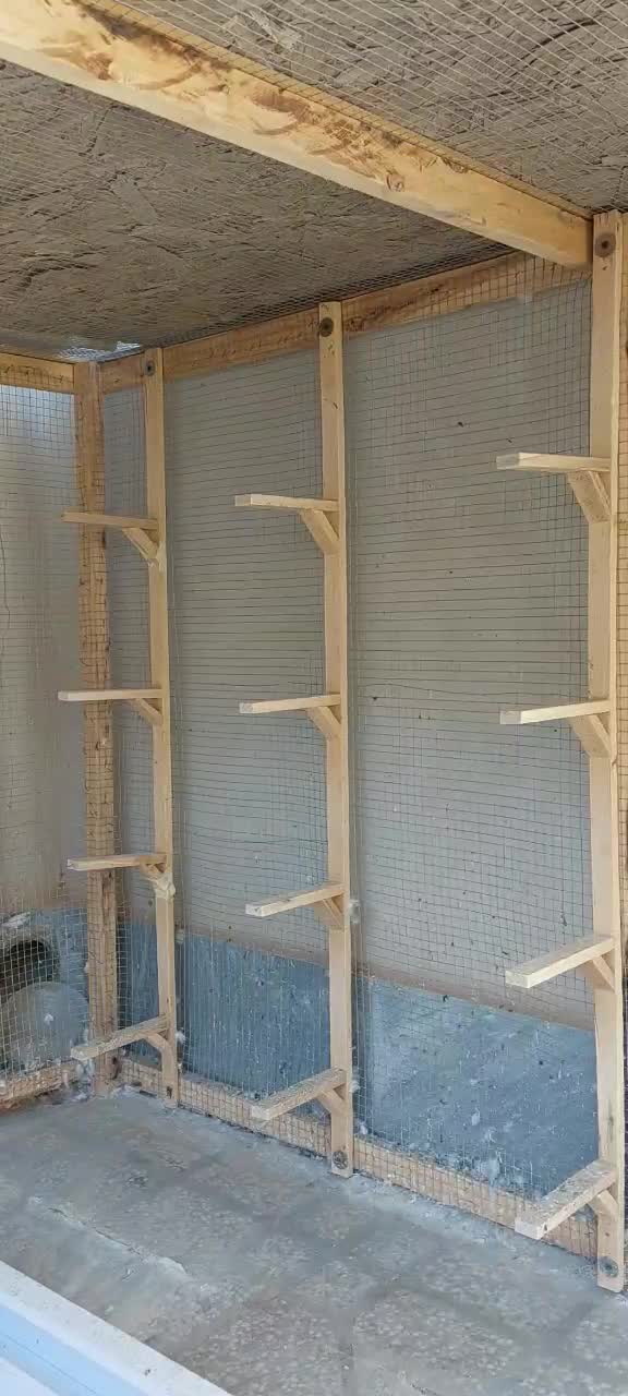 قفس چوبی بزرگ|لوازم جانبی حیوانات|تربت‌حیدریه, هاشمی‌نژاد|دیوار