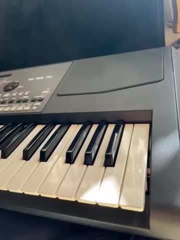 ارگ KORG pa600 QT بسیار تمیز ،مجلس نرفته|پیانو، کیبورد، آکاردئون|یزد, |دیوار