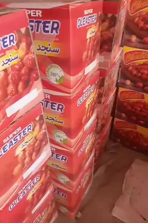 سنجد|خوردنی و آشامیدنی|گوگان, |دیوار