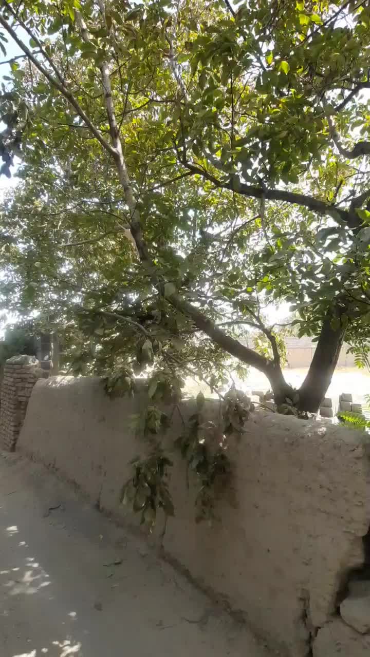 فروش زمین بامجوز داخل بافت/مناسب ساخت ویلا/شهریار|فروش زمین و ملک کلنگی|شهریار, شهریار|دیوار