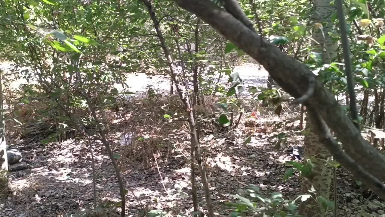 سرمایهگذاری مطمئن و پرسود در قلب منطقه ارنگه|فروش زمین و ملک کلنگی|تهران, زاهد گیلانی|دیوار