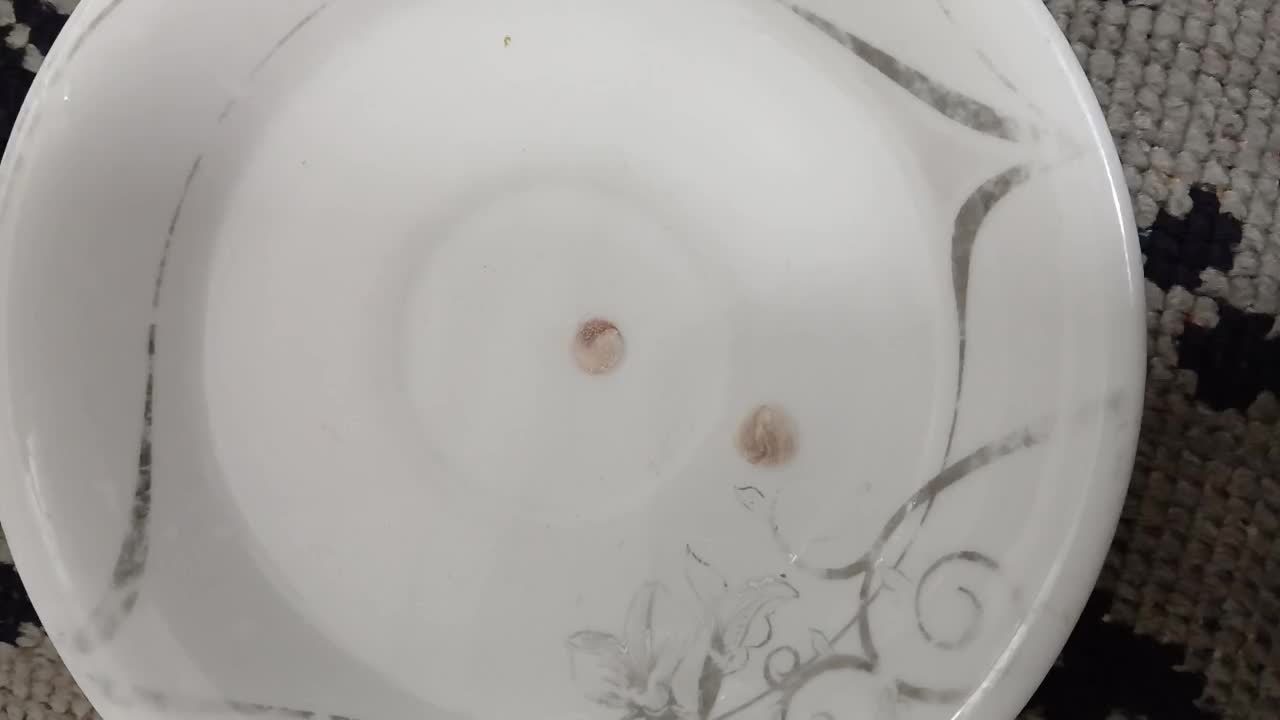 مهره ما|جواهرات|خمینی‌شهر, |دیوار