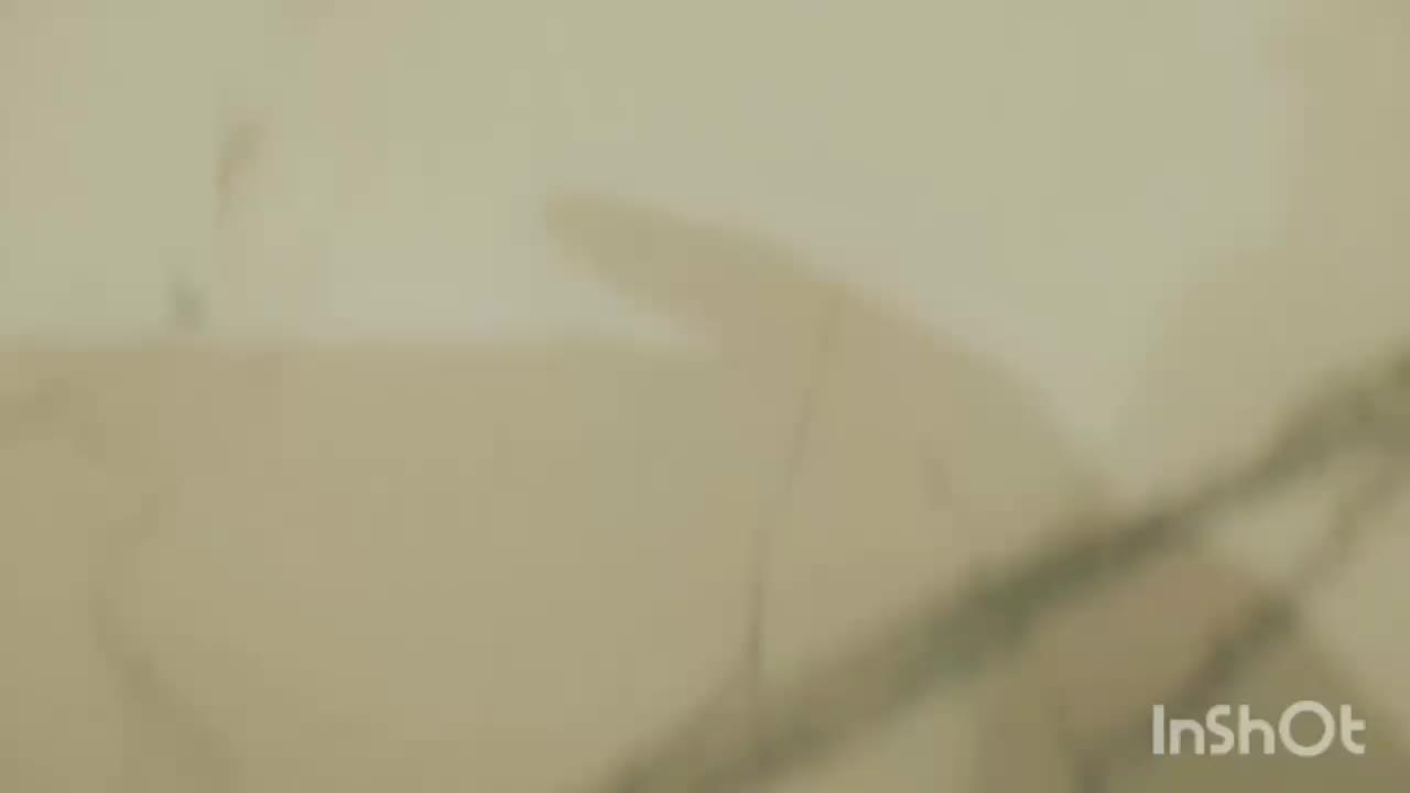 ست پذیرایی|سرویس روتختی|خرم‌آباد, |دیوار