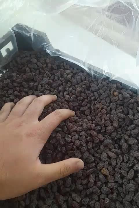 کشمش آفتابی امساله (یک دست درجه یک)|خوردنی و آشامیدنی|کرج, ساسانی (قلمستان)|دیوار