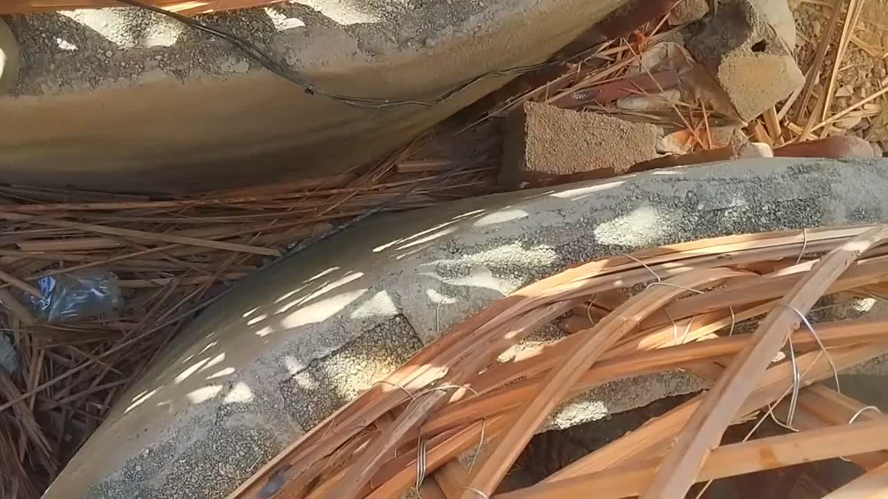 آگهی ساخت انواع آلاچیق سنتی|خدمات پیشه و مهارت|میناب, |دیوار