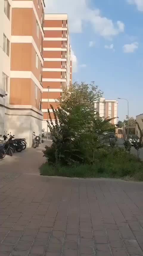 شستو شویی فرش،موکت،مبل در محل با بالاترین کیفیت|خدمات نظافت|تهران, بلوار کشاورز|دیوار