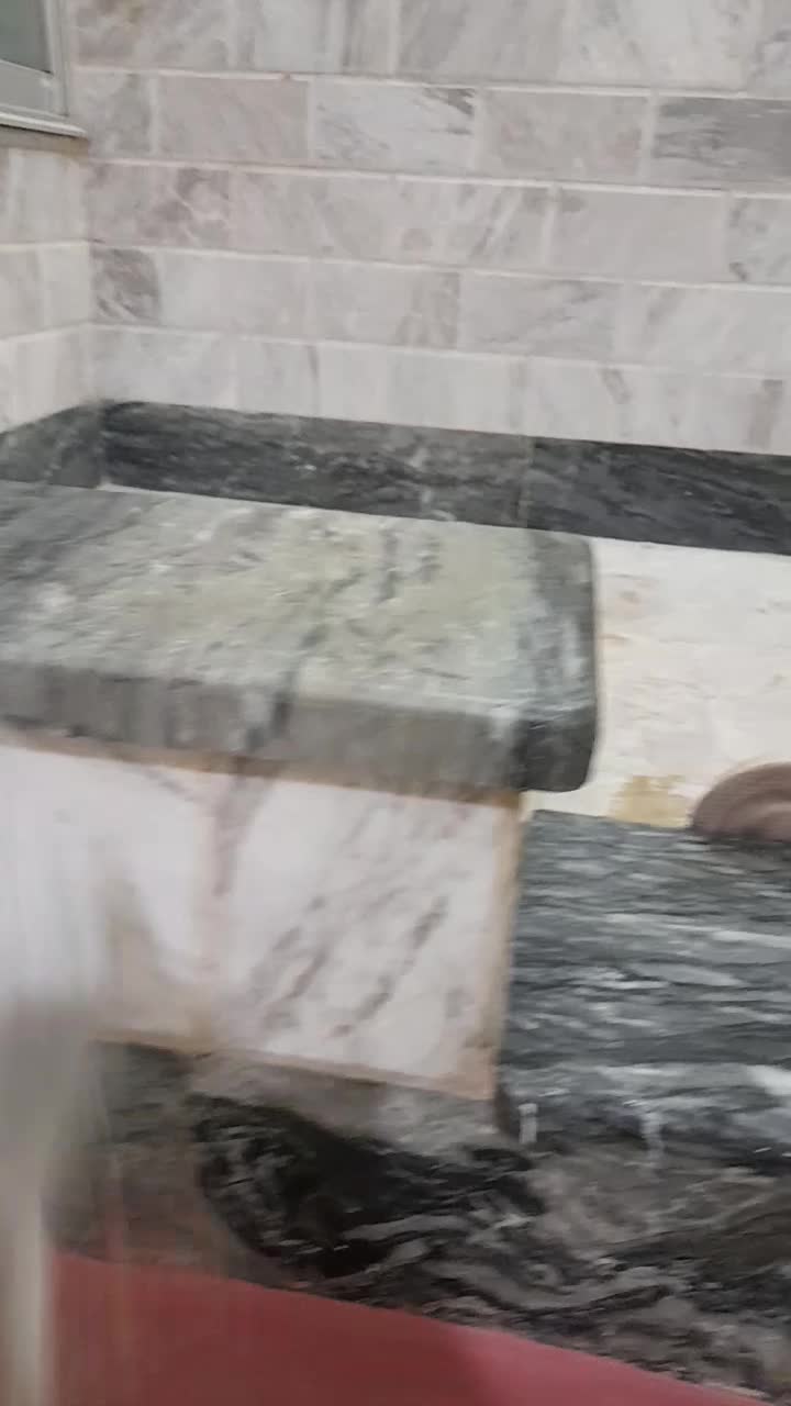 کفتر|پرنده|کنگاور, |دیوار