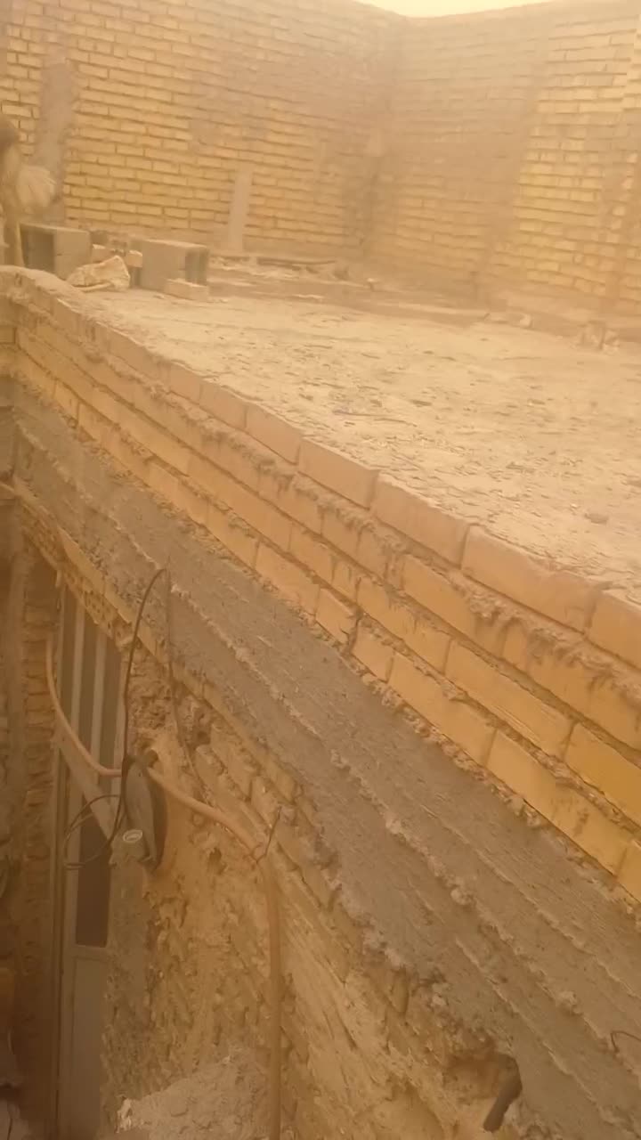 جرمن|سگ|خرمشهر, |دیوار