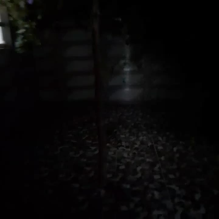 اجاره منزل|اجارهٔ خانه و ویلا|کاشان, شهرک ۲۲ بهمن|دیوار