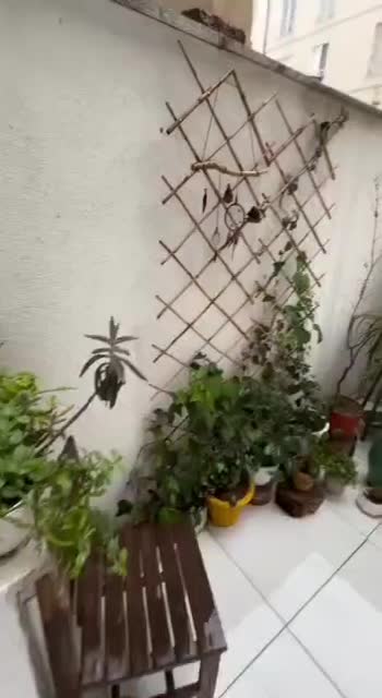 واحد ۴۱ متری رهن کامل|اجارهٔ آپارتمان|تهران, سازمان برنامه جنوبی|دیوار