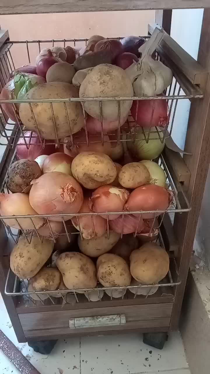 سبد|کتابخانه، شلف، قفسههای دیواری|مشهد, الهیه|دیوار