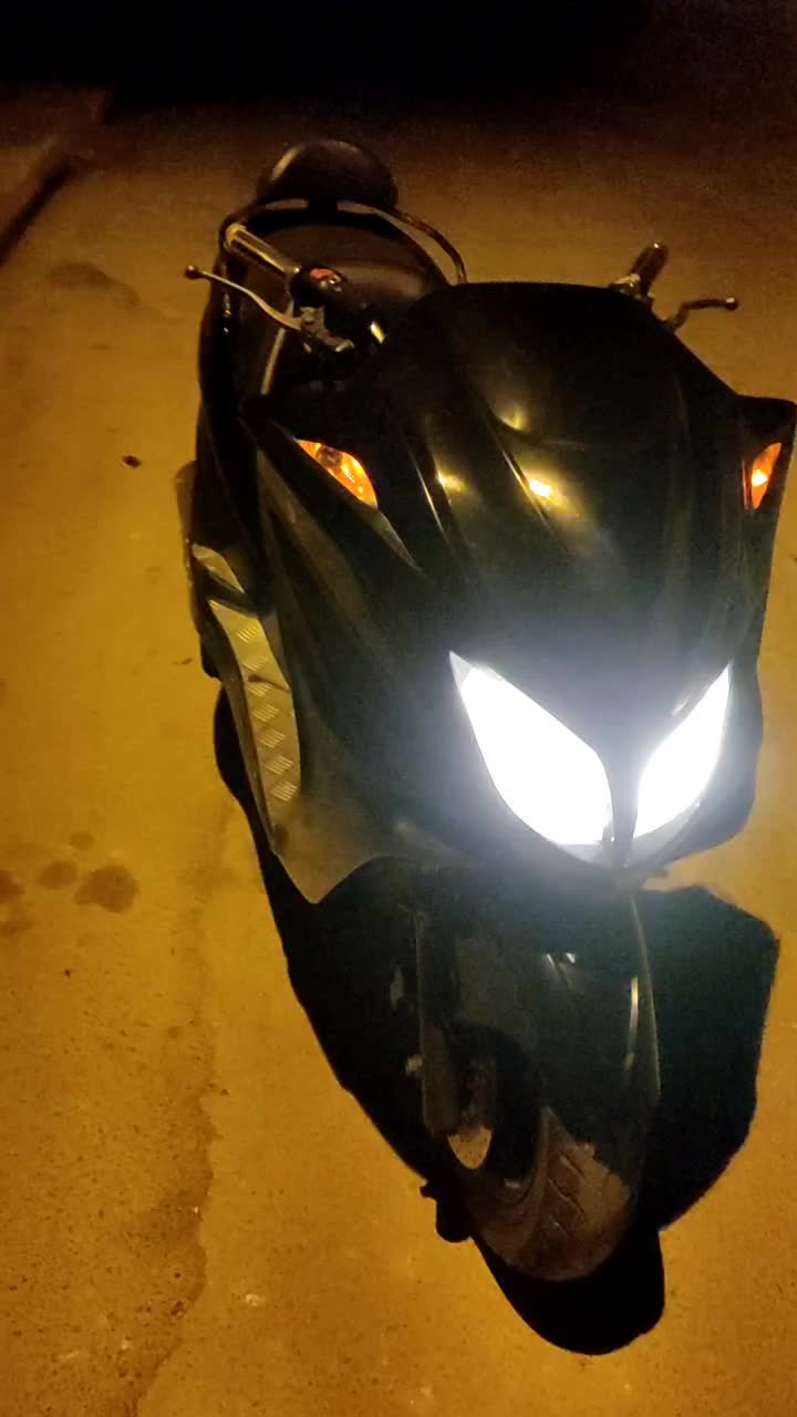 +«مجستی»+فورزا پی سی ایکس|موتورسیکلت|بوشهر, |دیوار