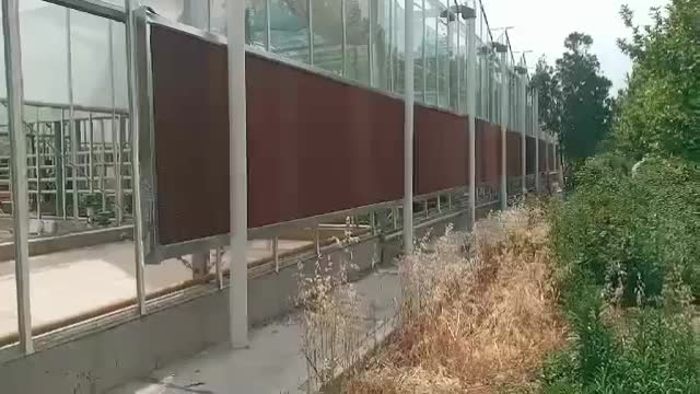 گلخانه از صفر تا صد|خدمات باغبانی و درختکاری|کرج, گوهردشت|دیوار