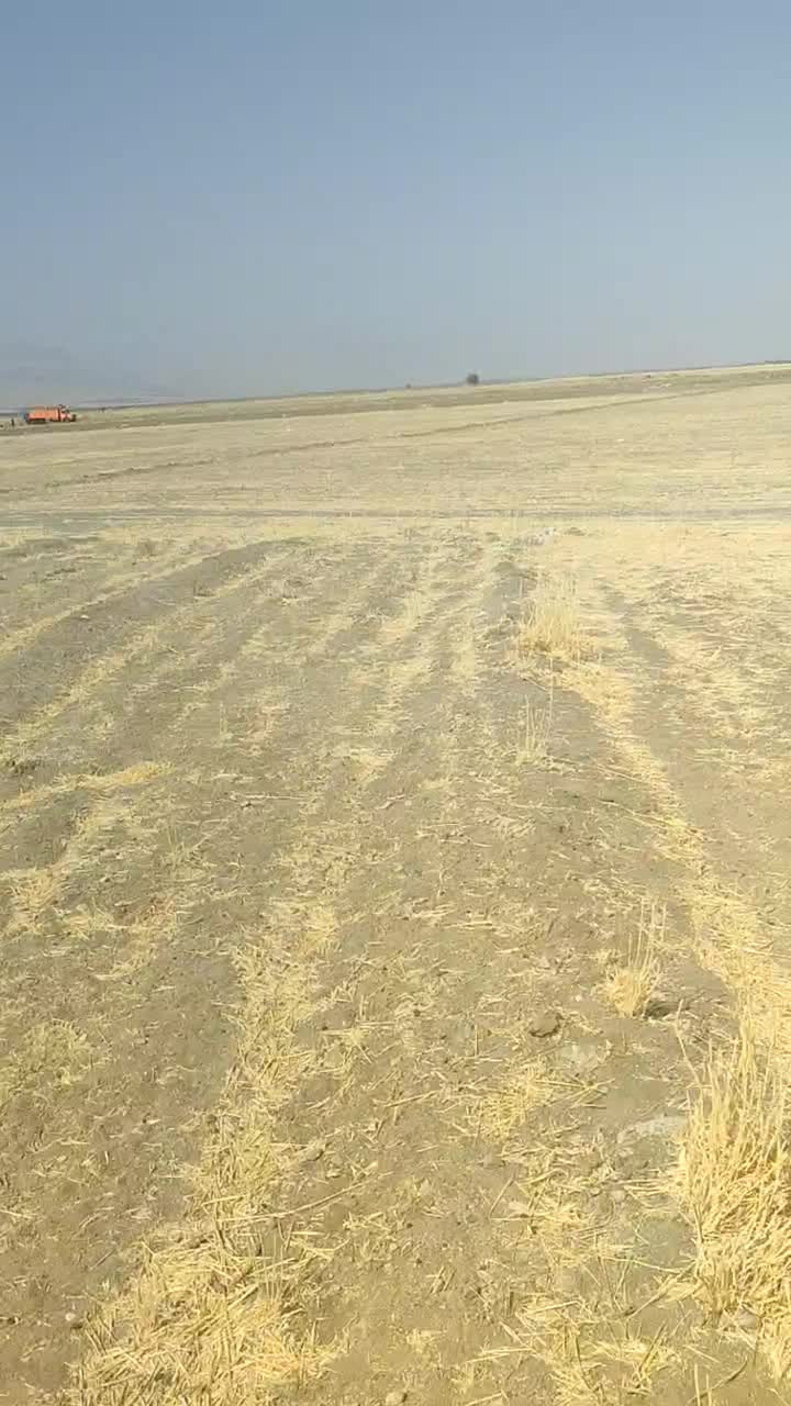 یک هکتارزمین کشاورزی چالانچولان|فروش زمین و ملک کلنگی|سیلاخور, |دیوار