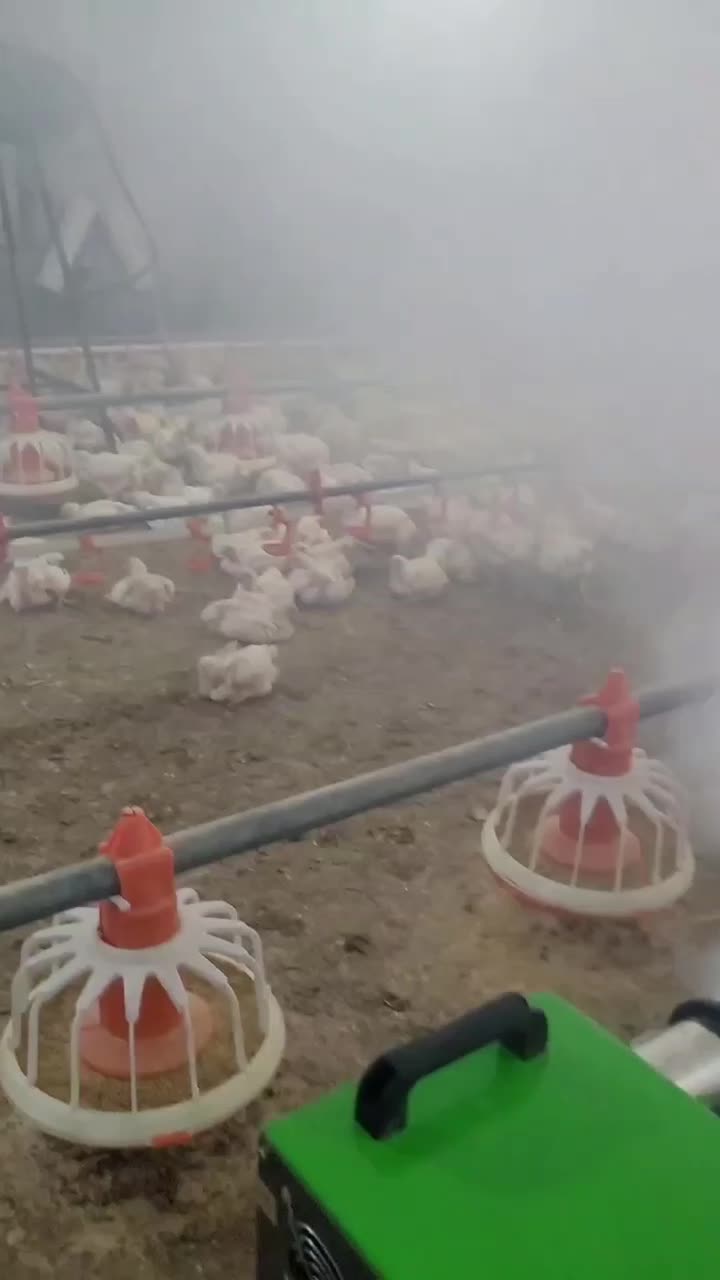 دفع سوسک ساس حشره وضدعفونی سالن ومرغداری|خدمات نظافت|تهران, ایوانک|دیوار