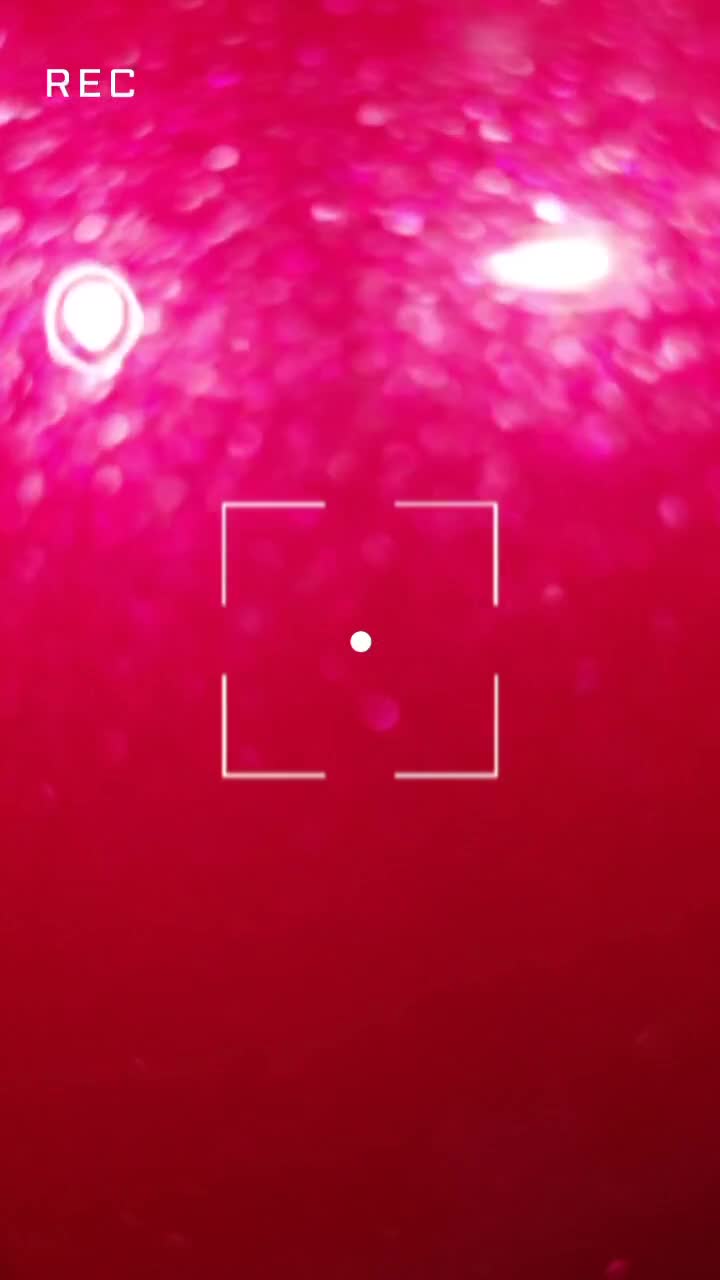 خریدفروش انواع موتورنقدواقساط|موتورسیکلت|برازجان, |دیوار