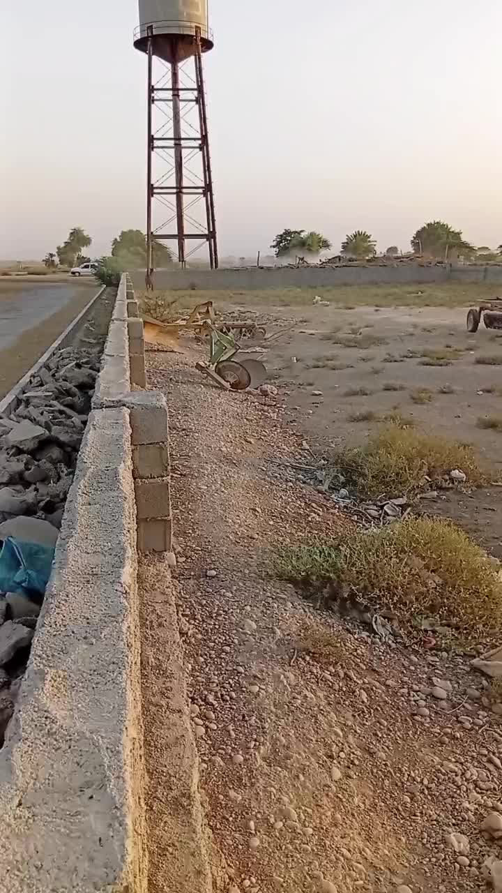 اسب اصیل|اسب و تجهیزات اسبسواری|شوشتر, |دیوار