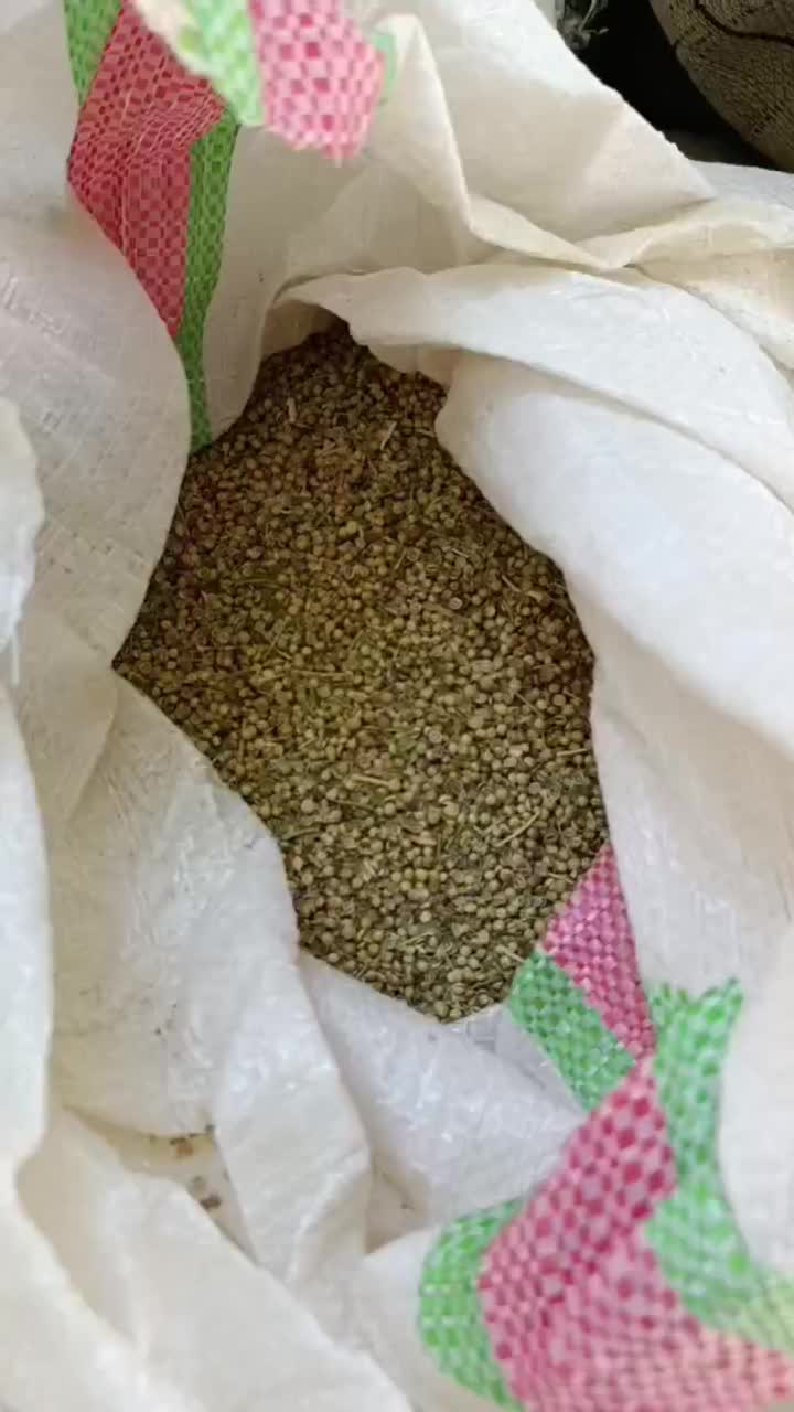 گشنیز تمیز و درجه یک|خدمات باغبانی و درختکاری|دینور, |دیوار