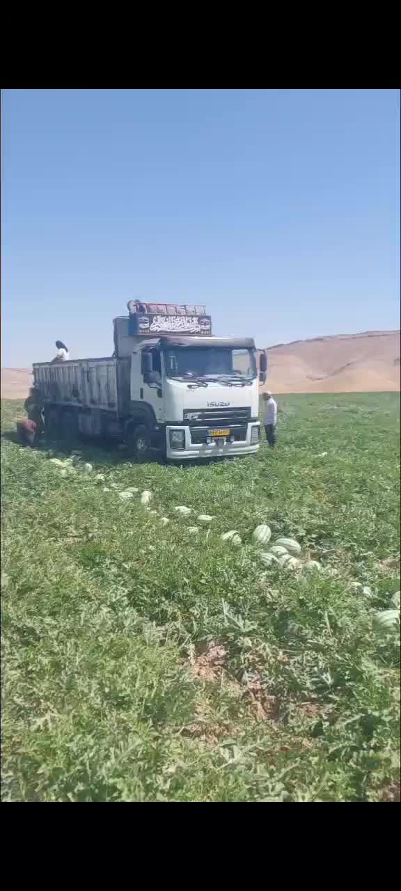 ایسوزو ده چرخ باری مدل ۹۷ بی رنگ مشابه صفر|خودرو سنگین|تهران, میدان میوه و ترهبار مرکزی|دیوار
