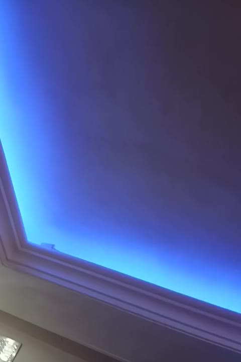 کچگاری لکه گیری خانه های شما با قیمت مناسب|خدمات پیشه و مهارت|کنگاور, |دیوار