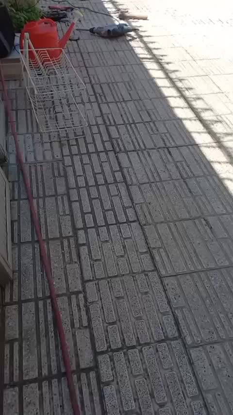 نشت یابی و لوله بازکنی تلاش خوی|خدمات پیشه و مهارت|خوی, |دیوار