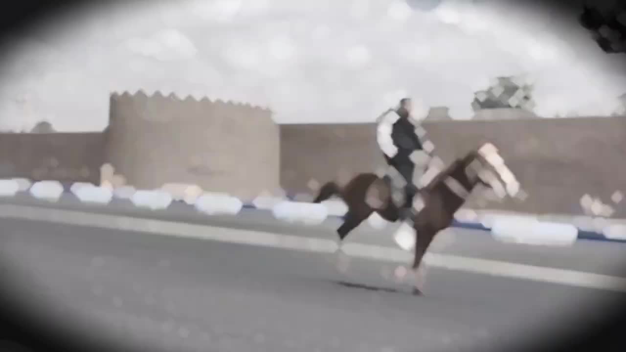 اسب|اسب و تجهیزات اسب‌سواری|مود, |دیوار