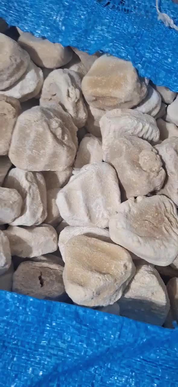 کشک|لوازم جانبی حیوانات|اندیمشک, |دیوار