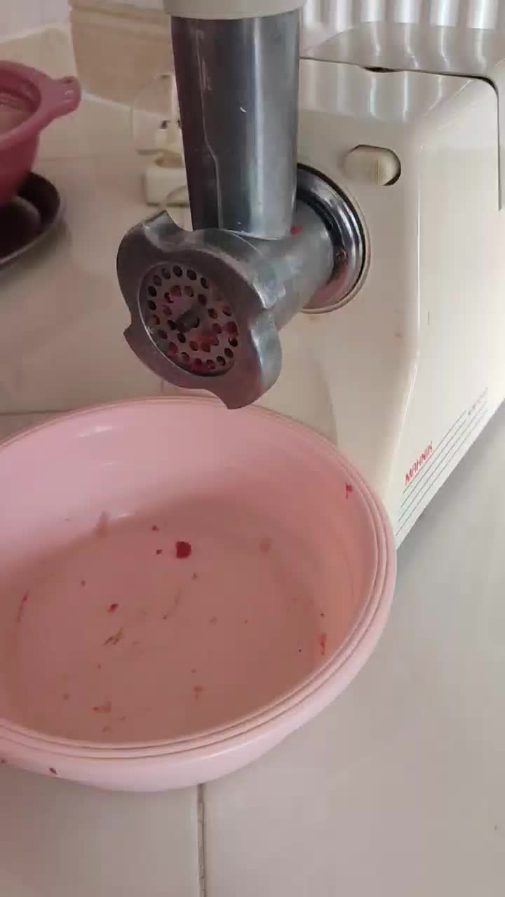 چرخ گوشت مه نیک صحیح و سالم|سایر لوازم برقی|اصفهان, قهجاورستان|دیوار