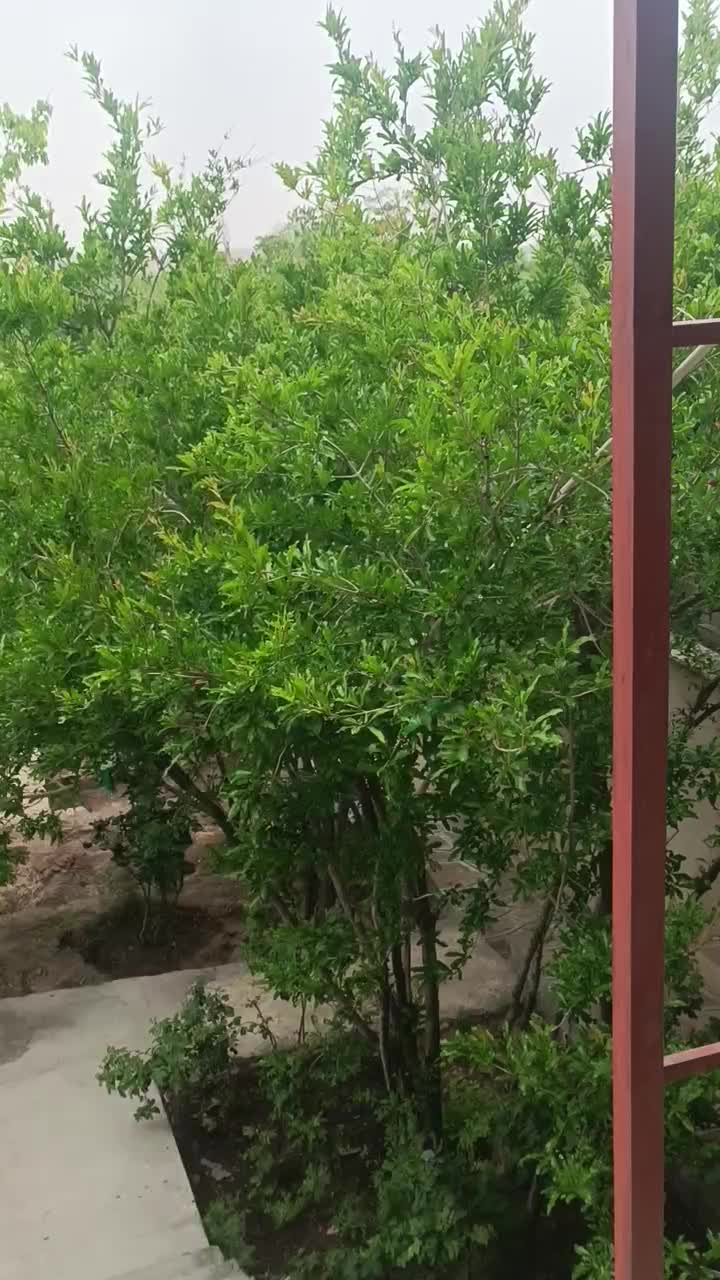 باغچه 260متری روستای قبادبزن|فروش خانه و ویلا|قم, انسجام|دیوار