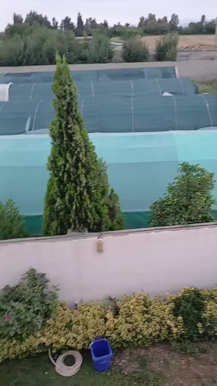 ویلااستخردار۱۲ کیلومتری گنبد|اجارهٔ کوتاهمدت ویلا و باغ|گنبد کاووس, |دیوار