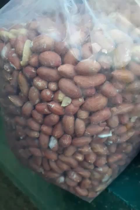 فروش بصورت عمده وخرده|خوردنی و آشامیدنی|باغستان, |دیوار