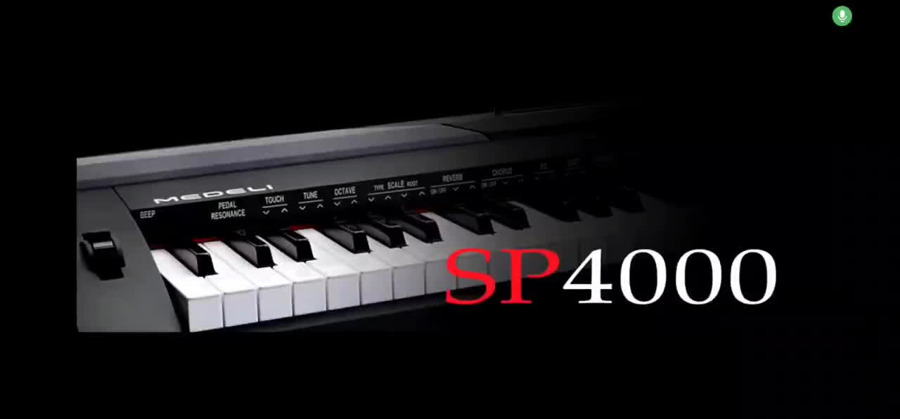 فروش فوری پیانو|پیانو، کیبورد، آکاردئون|رشت, کاکتوس|دیوار