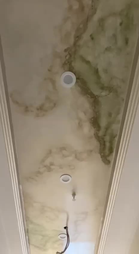 گچبری مدرن پیش ساخته پتینه کاری میکروسمنت ورق طلا|خدمات پیشه و مهارت|مشهد, وکیلآباد|دیوار