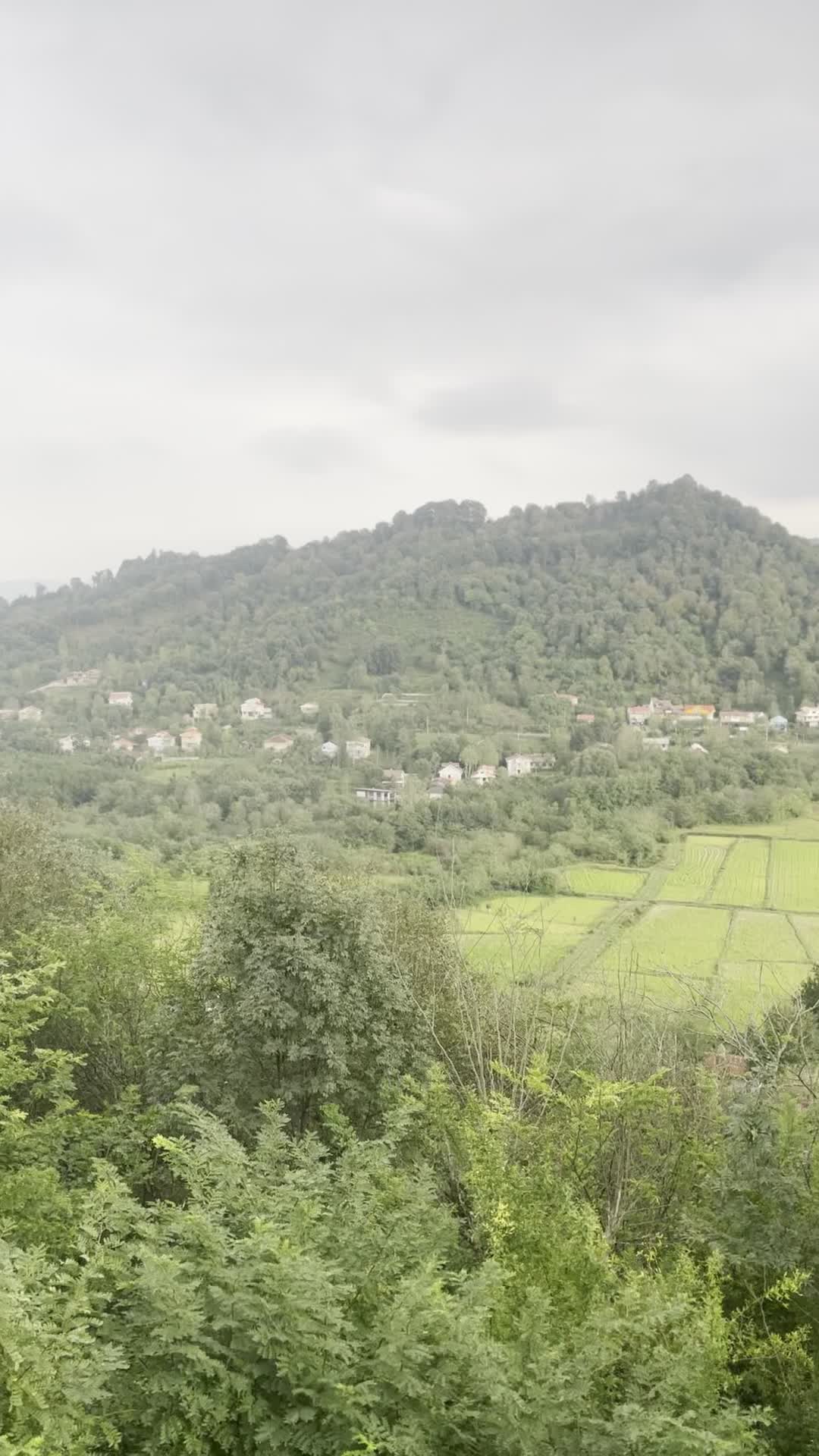 ویلا دوبلکس سه خواب با ویو بی نظیر|اجارهٔ کوتاه‌مدت ویلا و باغ|سیاهکل, |دیوار