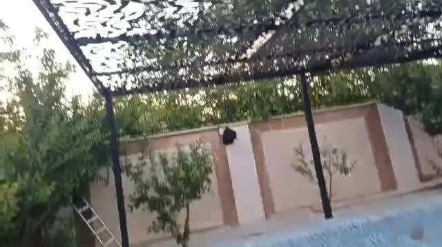 جوشکاری سیار کل تهران انواع آلاچیق حفاظ سقف بالکن|خدمات پیشه و مهارت|تهران, میرداماد|دیوار