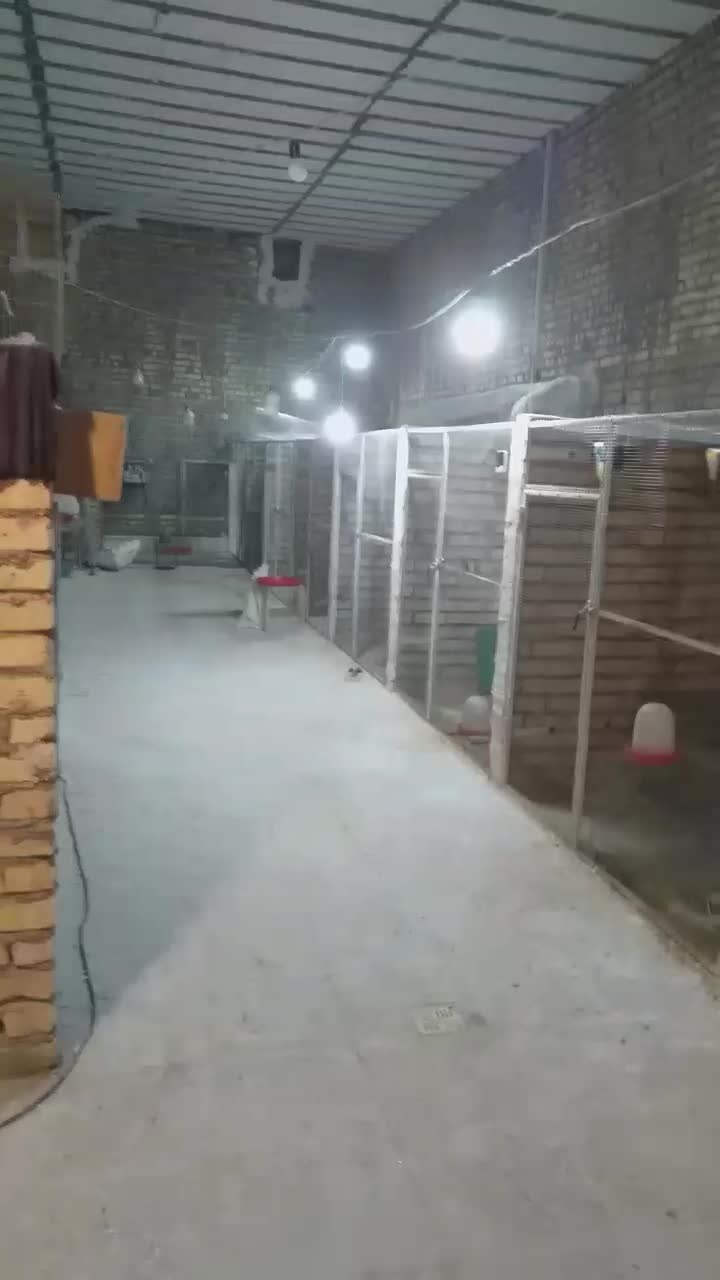 سوله یا کارگاه مبارک اباد|فروش دفتر صنعتی، کشاورزی، تجاری|قنوات, |دیوار